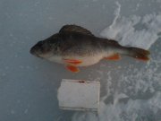 20150213_171732.jpg