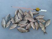 20150213_170515.jpg