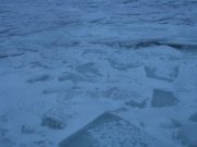 DSCF0623.JPG
