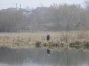 IMG_0010.JPG
