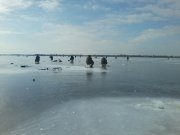 P20-02-15_10.45.jpg