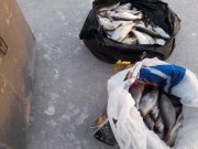 P20-02-15_16.45.jpg