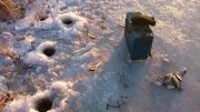 DSC_0170.JPG