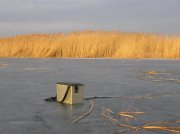 P2251360.JPG