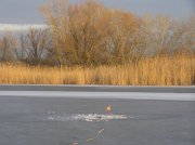 P2251362.JPG