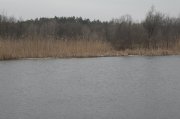 _2284299.JPG