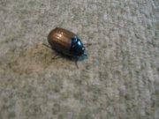 IMG_6326.JPG