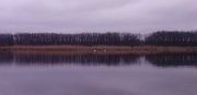 CAM00579.jpg