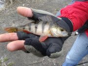 20150228_125352.jpg