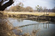 IMG_0136.JPG