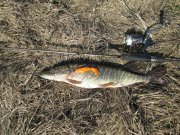 IMG_0002.JPG