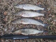 IMG_0006.JPG