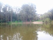 0308151002.jpg