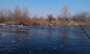 IMAG0465.jpg