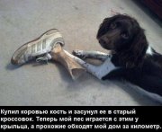 1IBHbLN3nTA.jpg