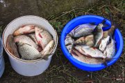 20150315_Fishing_Ostrig_032[1].jpg