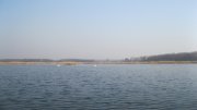 IMG_2024.JPG