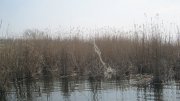 IMG_2079.JPG