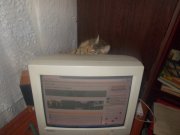 Изображение 002.jpg