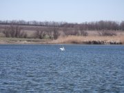 DSCF7364.JPG