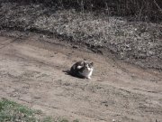 DSCF7369.JPG