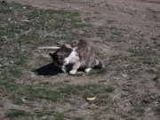 DSCF7370.JPG