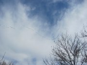 IMG_2747.JPG