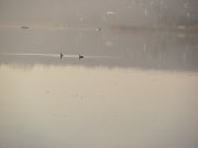 IMG_2743.JPG