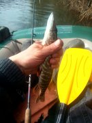 IMG_20150327_101226.jpg