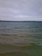 IMG716.jpg