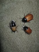 IMG_6384.JPG