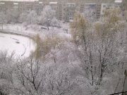 Фото3453.jpg