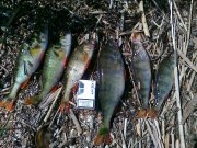 05062012074.jpg