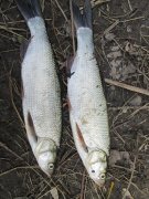 IMG_0002.JPG