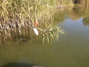 20141012_100439.jpg