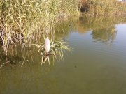 20141012_100448.jpg