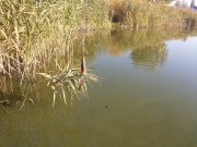 20141012_100450.jpg