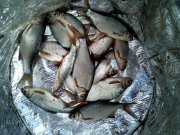 IMG_20150406_134926.jpg