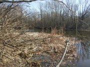 20150410_100109_resized.jpg