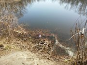 20150410_093047_resized.jpg