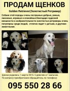 Безымянный.jpg