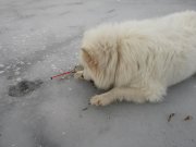 20150202_134243.jpg