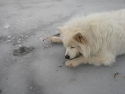 20150202_134253.jpg