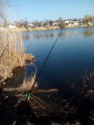 IMG_20150411_164451.jpg