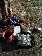 IMG_20150411_164509.jpg