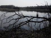 2015413134900.jpg