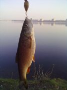 13042015350.jpg