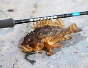 ерш и Keitech Hog Impact 3.(2).jpg