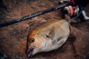 Ласкирь на Decoy SV-36.jpg