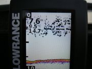 DSC05677.JPG